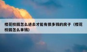 樱花校园怎么进去才能有很多钱的房子（樱花校园怎么拿钱）