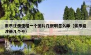 派币注册流程一个图片几张啊怎么弄（派币能注册几个号）