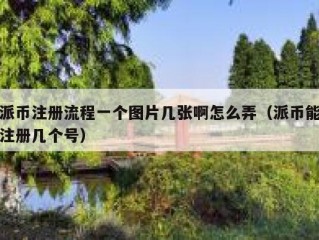 派币注册流程一个图片几张啊怎么弄（派币能注册几个号）