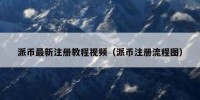 派币最新注册教程视频（派币注册流程图）