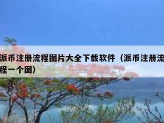 派币注册流程图片大全下载软件（派币注册流程一个图）