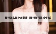 推特怎么做中文翻译（推特如何弄成中文）