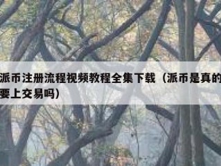 派币注册流程视频教程全集下载（派币是真的要上交易吗）