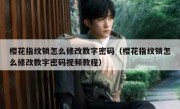 樱花指纹锁怎么修改数字密码（樱花指纹锁怎么修改数字密码视频教程）