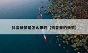 抖音获赞是怎么来的（抖音里的获赞）