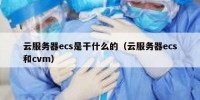 云服务器ecs是干什么的（云服务器ecs和cvm）