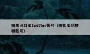 哪里可以买twitter账号（哪能买到推特账号）