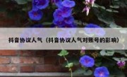抖音协议人气（抖音协议人气对账号的影响）