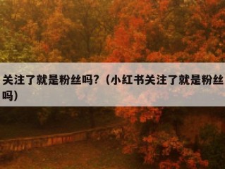 关注了就是粉丝吗?（小红书关注了就是粉丝吗）