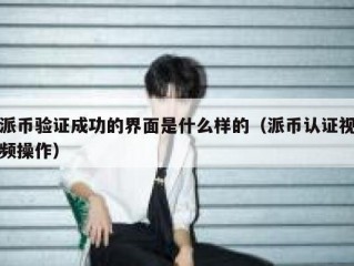 派币验证成功的界面是什么样的（派币认证视频操作）