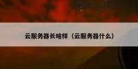 云服务器长啥样（云服务器什么）