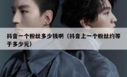 抖音一个粉丝多少钱啊（抖音上一个粉丝约等于多少元）