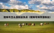 视频号怎么涨粉丝快点（视频号如何涨粉丝）