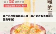 国产芯片服务器前三强（国产芯片服务器前三强有哪些）