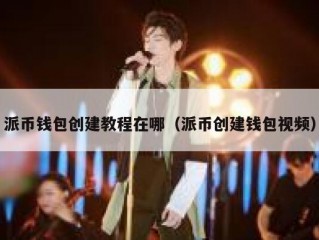 派币钱包创建教程在哪（派币创建钱包视频）