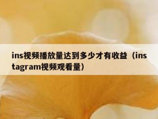 ins视频播放量达到多少才有收益（instagram视频观看量）