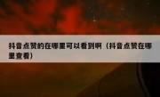 抖音点赞的在哪里可以看到啊（抖音点赞在哪里查看）
