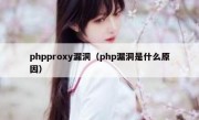 phpproxy漏洞（php漏洞是什么原因）