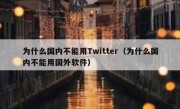 为什么国内不能用Twitter（为什么国内不能用国外软件）