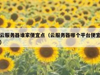 云服务器谁家便宜点（云服务器哪个平台便宜）