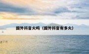 国外抖音火吗（国外抖音有多火）