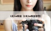 1元1w粉丝（1元1w粉丝软件）