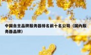中国自主品牌服务器排名前十名公司（国内服务器品牌）
