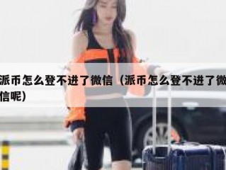 派币怎么登不进了微信（派币怎么登不进了微信呢）