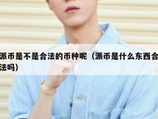 派币是不是合法的币种呢（派币是什么东西合法吗）