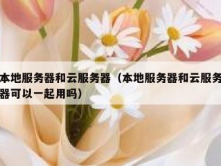 本地服务器和云服务器（本地服务器和云服务器可以一起用吗）