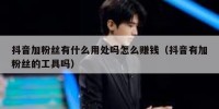 抖音加粉丝有什么用处吗怎么赚钱（抖音有加粉丝的工具吗）