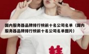 国内服务器品牌排行榜前十名公司名单（国内服务器品牌排行榜前十名公司名单图片）
