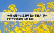 ins评论是什么意思呀怎么看图片（ins上的评论都能显示出来吗）
