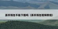 派币钱包不能下载吗（派币钱包视频教程）