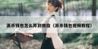 派币钱包怎么弄到微信（派币钱包视频教程）