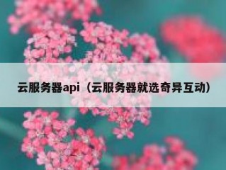 云服务器api（云服务器就选奇异互动）