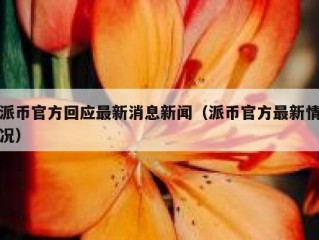 派币官方回应最新消息新闻（派币官方最新情况）