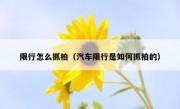 限行怎么抓拍（汽车限行是如何抓拍的）