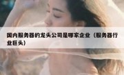 国内服务器的龙头公司是哪家企业（服务器行业巨头）
