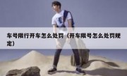 车号限行开车怎么处罚（开车限号怎么处罚规定）