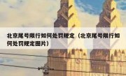 北京尾号限行如何处罚规定（北京尾号限行如何处罚规定图片）