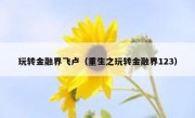 玩转金融界飞卢（重生之玩转金融界123）