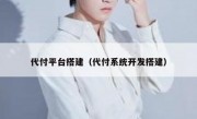 代付平台搭建（代付系统开发搭建）