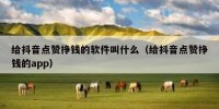 给抖音点赞挣钱的软件叫什么（给抖音点赞挣钱的app）