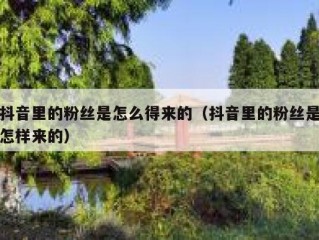 抖音里的粉丝是怎么得来的（抖音里的粉丝是怎样来的）