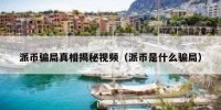 派币骗局真相揭秘视频（派币是什么骗局）