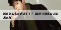 派币怎么实名认证不了了（派币还没实名认证怎么办）