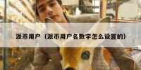 派币用户（派币用户名数字怎么设置的）