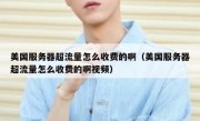 美国服务器超流量怎么收费的啊（美国服务器超流量怎么收费的啊视频）
