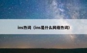 ins热词（ins是什么网络热词）